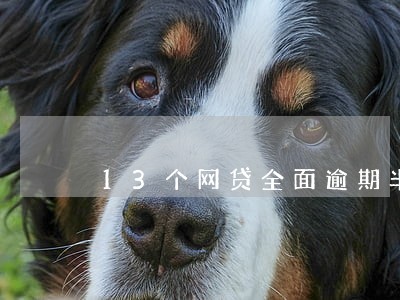 13个网贷全面逾期半年多 13个网贷全面逾期半年多