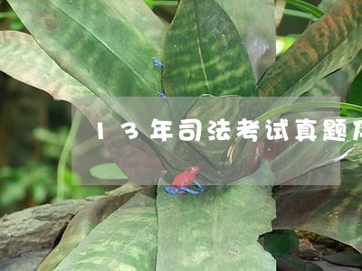 13年司法考试真题及答案汇总 13年司法考试真题及答案汇总