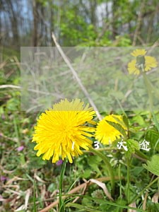 13次逾期买房 13次逾期买房