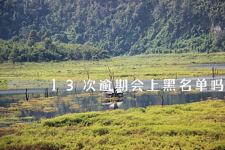 13次逾期会上黑名单吗