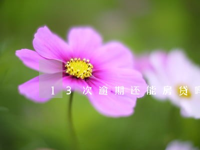 13次逾期还能房贷吗 13次逾期还能房贷吗