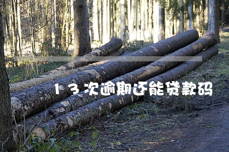 13次逾期还能贷款码 13次逾期还能贷款码