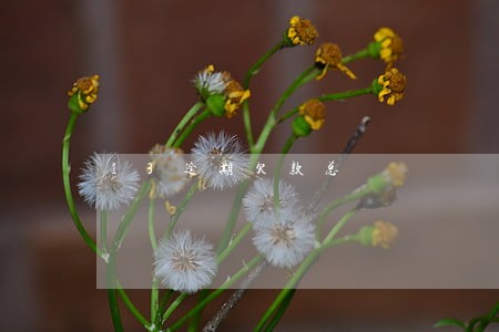 13逾期欠款总 13逾期欠款总