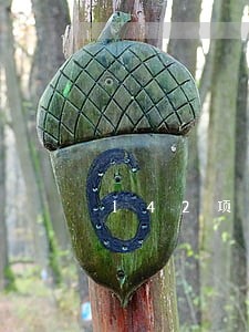 142项交通违法逾期记录 142项交通违法逾期记录