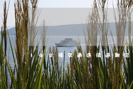 142项交通违法逾期记录上海 142项交通违法逾期记录上海