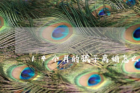 14个月的孩子离婚怎么判 14个月的孩子离婚怎么判