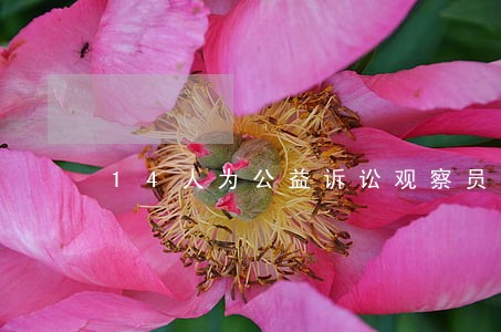 14人为公益诉讼观察员 14人为公益诉讼观察员