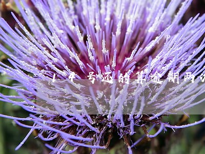 14号还的算逾期两次 14号还的算逾期两次