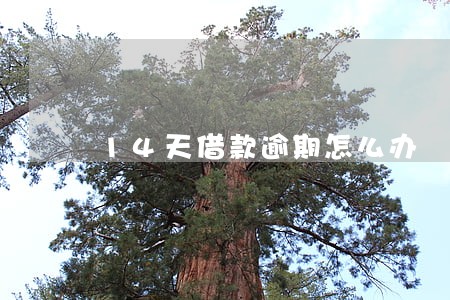 14天借款逾期怎么办 14天借款逾期怎么办