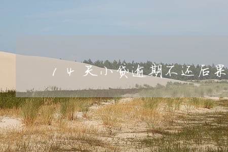 14天小贷逾期不还后果 14天小贷逾期不还后果