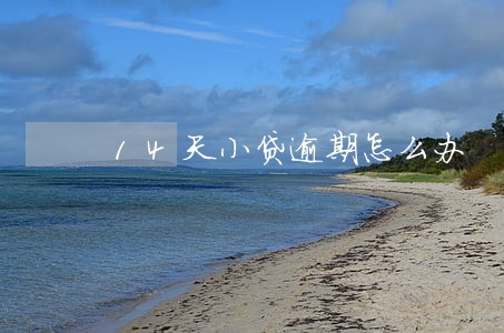 14天小贷逾期怎么办 14天小贷逾期怎么办