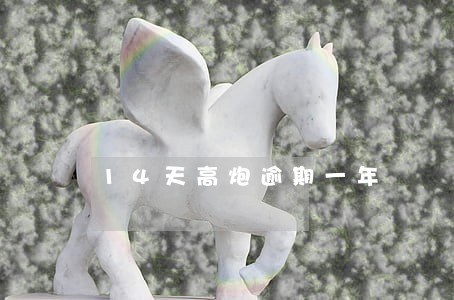 14天高炮逾期一年 14天高炮逾期一年