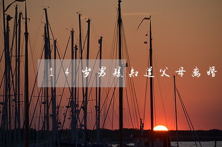 14岁男孩知道父母离婚会怎样 14岁男孩知道父母离婚会怎样