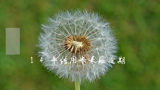 14年信用卡呆账逾期