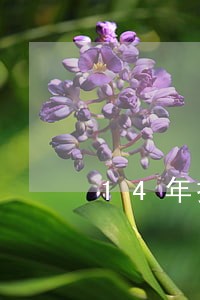 14年捷信逾期 14年捷信逾期