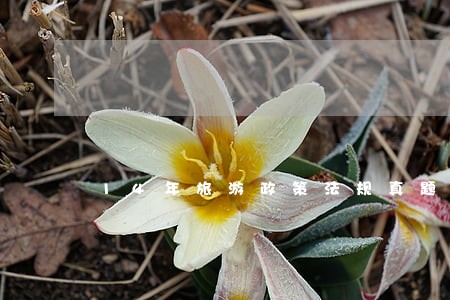 14年旅游政策法规真题答案 14年旅游政策法规真题答案