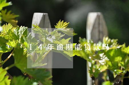 14年逾期能贷款吗 14年逾期能贷款吗