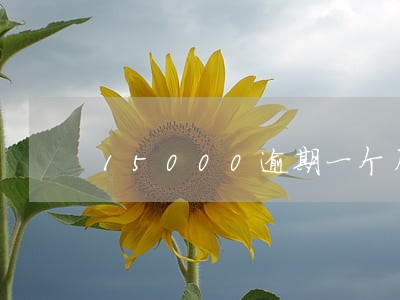 15000逾期一个月多少利息 15000逾期一个月多少利息