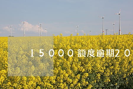 15000额度逾期20天 15000额度逾期20天