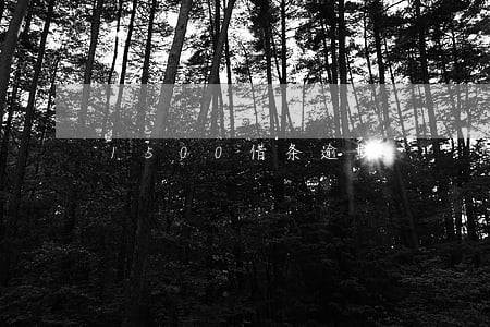 1500借条逾期 1500借条逾期