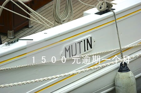 1500元逾期一个月 1500元逾期一个月
