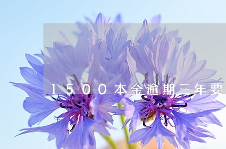 1500本金逾期三年要还多少