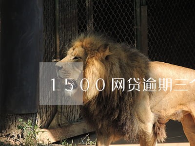 1500网贷逾期三个月 1500网贷逾期三个月