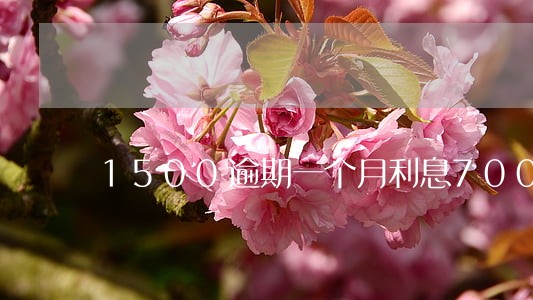 1500逾期一个月利息700 1500逾期一个月利息700