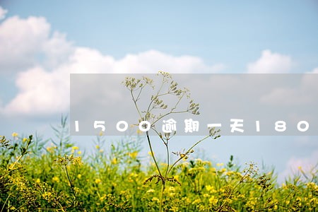 1500逾期一天180逾期费 1500逾期一天180逾期费
