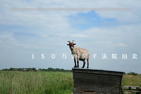 150万的房子法院拍卖多少钱 150万的房子法院拍卖多少钱