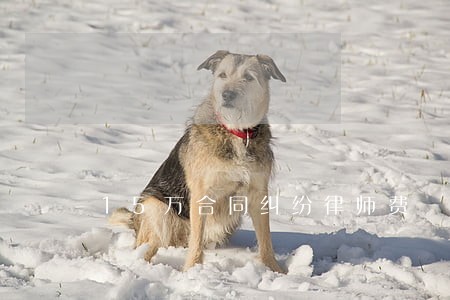 15万合同纠纷律师费 15万合同纠纷律师费