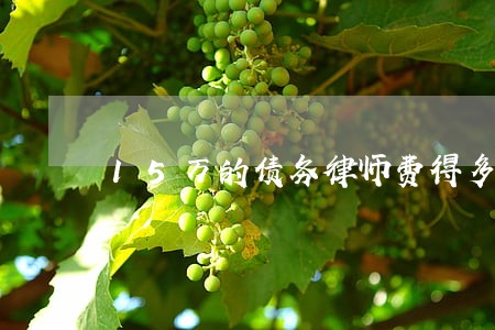 15万的债务律师费得多少钱 15万的债务律师费得多少钱