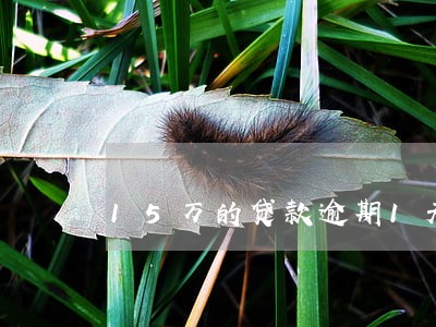 15万的贷款逾期1天会怎么样 15万的贷款逾期1天会怎么样