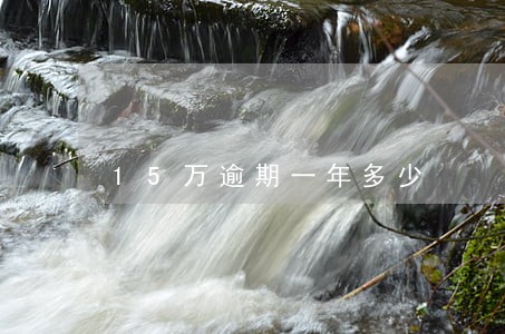 15万逾期一年多少 15万逾期一年多少