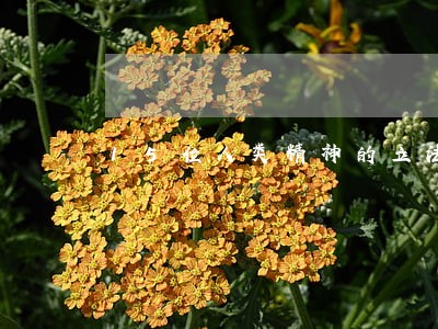 15位人类精神的立法者 15位人类精神的立法者