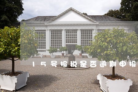 15号报税是否逾期申报 15号报税是否逾期申报