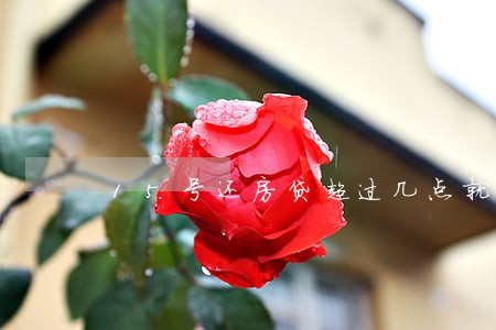 15号还房贷超过几点就逾期 15号还房贷超过几点就逾期
