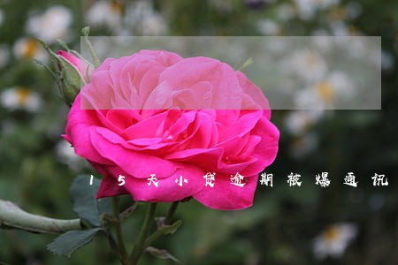 15天小贷逾期被爆通讯录 15天小贷逾期被爆通讯录