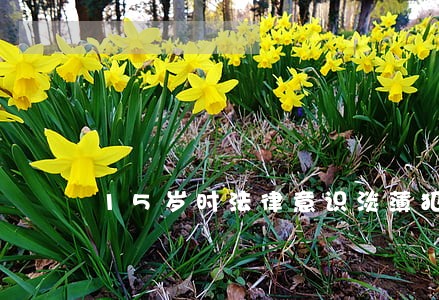 15岁时法律意识淡薄犯了错 15岁时法律意识淡薄犯了错