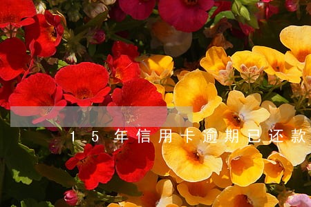 15年信用卡逾期已还款 15年信用卡逾期已还款