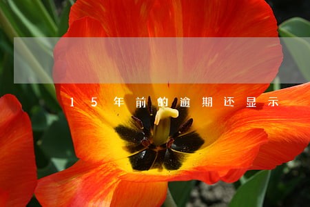 15年前的逾期还显示 15年前的逾期还显示