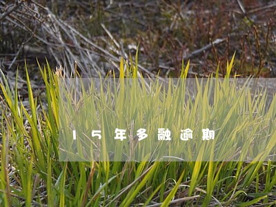 15年多融逾期