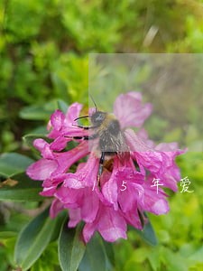 15年爱学贷显示逾期 15年爱学贷显示逾期