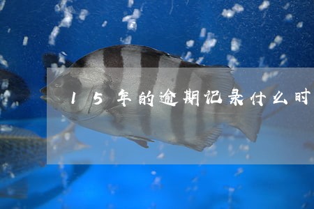 15年的逾期记录什么时候消失 15年的逾期记录什么时候消失