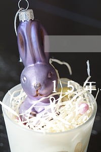15年车一年两审逾期 15年车一年两审逾期