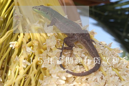 15年逾期现在贷款利率 15年逾期现在贷款利率