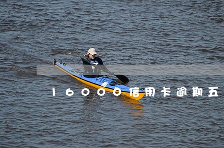 16000信用卡逾期五天 16000信用卡逾期五天