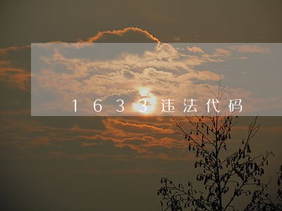 1633违法代码