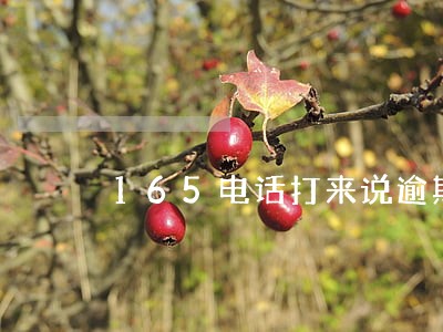 165电话打来说逾期 165电话打来说逾期