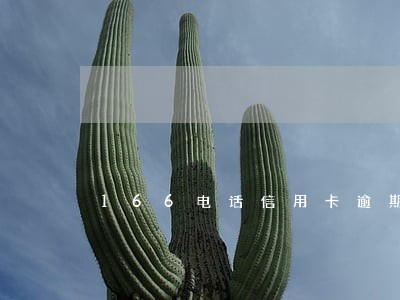 166电话信用卡逾期 166电话信用卡逾期